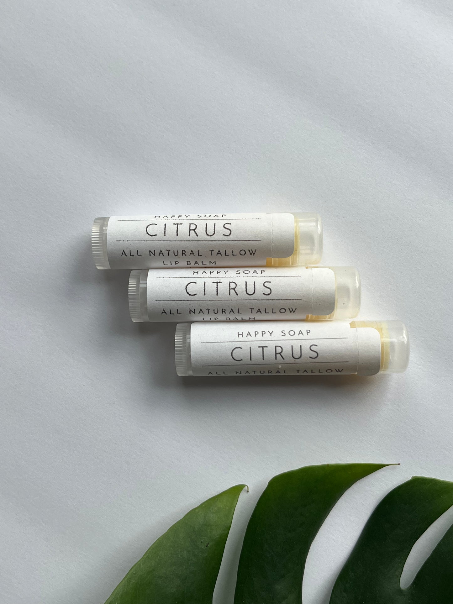 Citrus Tallow Lip Balm